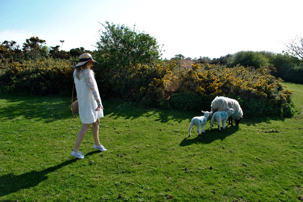 Brexit madamedaniel londres french blogger in london 