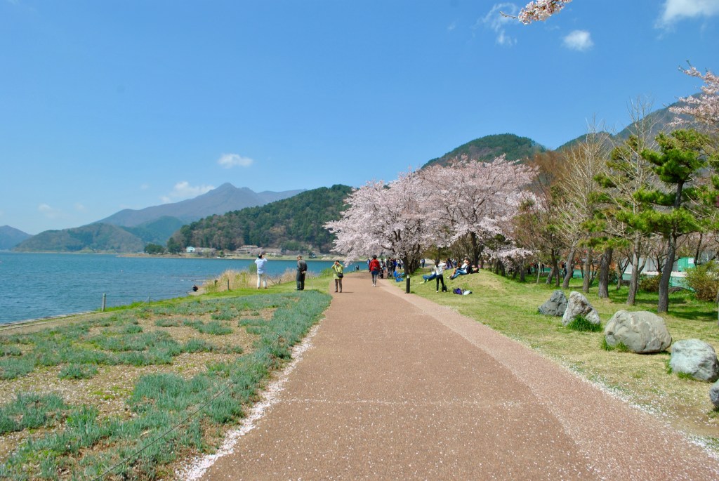 Madamedaniel honeymoon in Japan fuji blogger