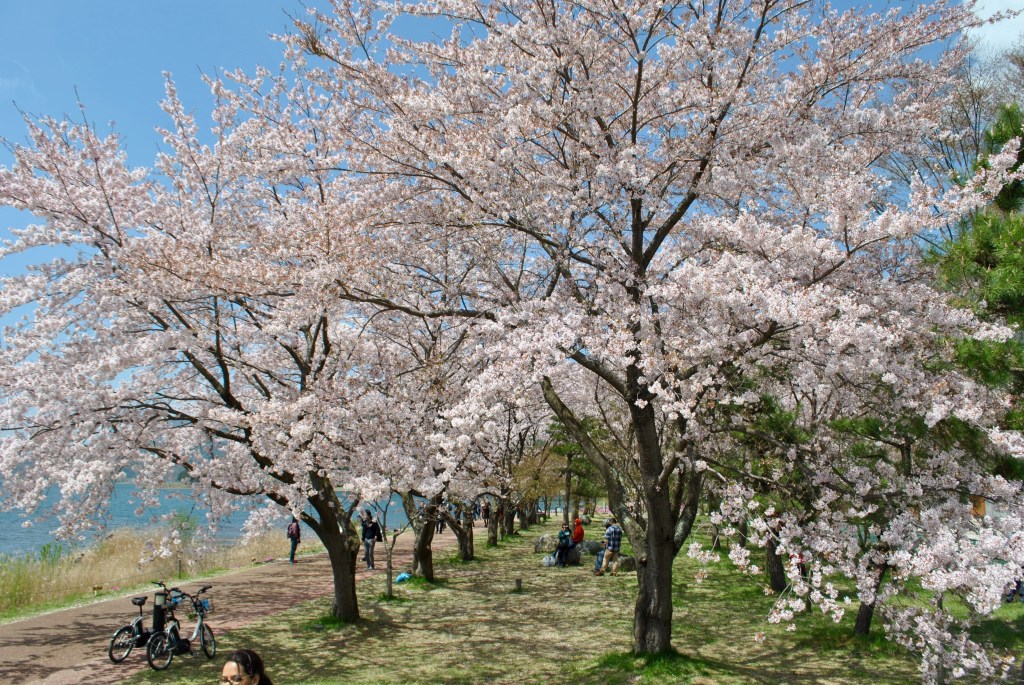 Madamedaniel honeymoon in Japan fuji blogger