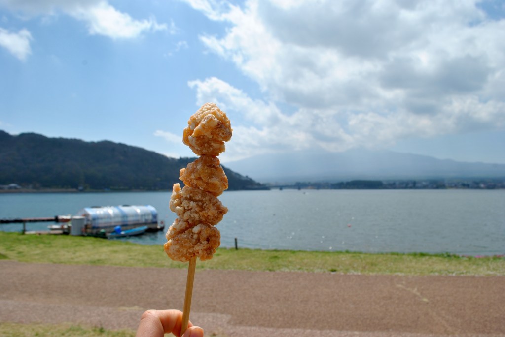 Madamedaniel honeymoon in Japan fuji blogger