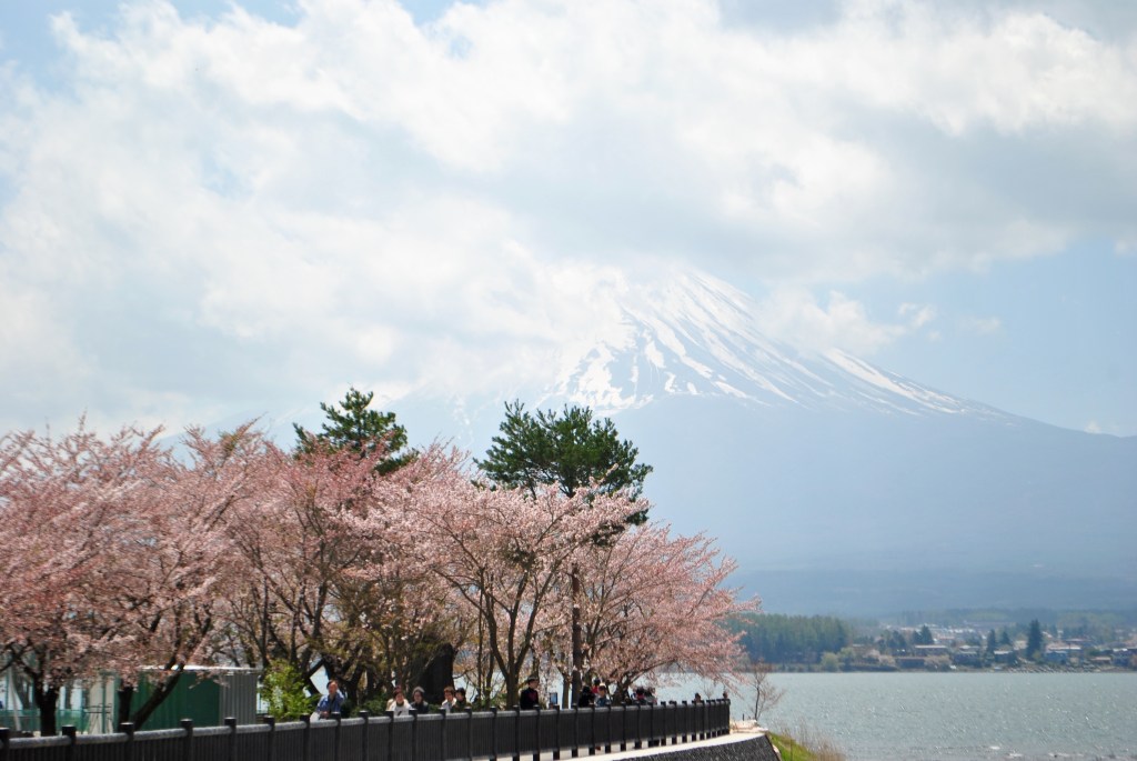 Madamedaniel honeymoon in Japan fuji blogger