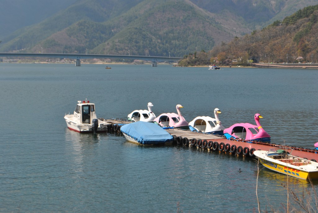 Madamedaniel honeymoon in Japan fuji blogger