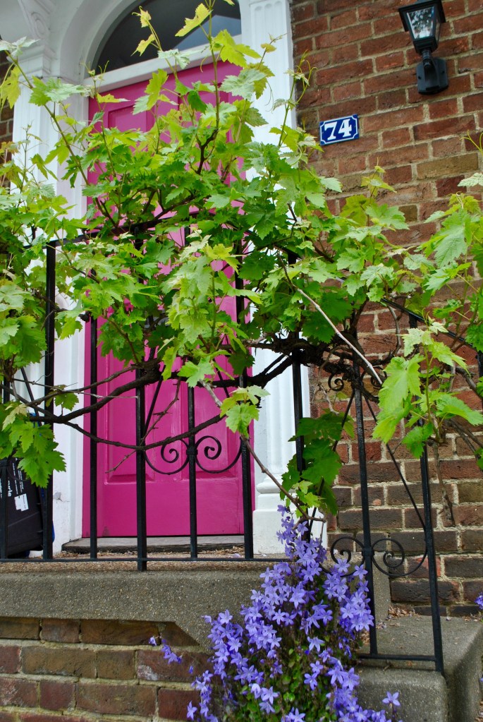 Brexit madamedaniel londres french blogger in london 