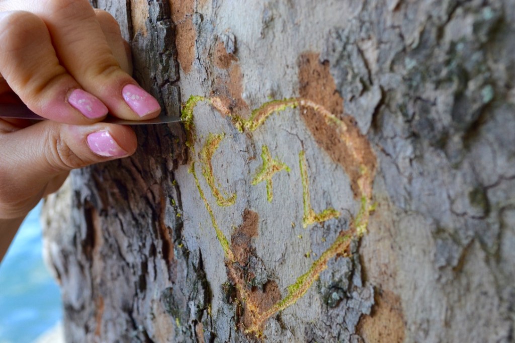 Madamedaniel demande en mariage engagement session paris 
