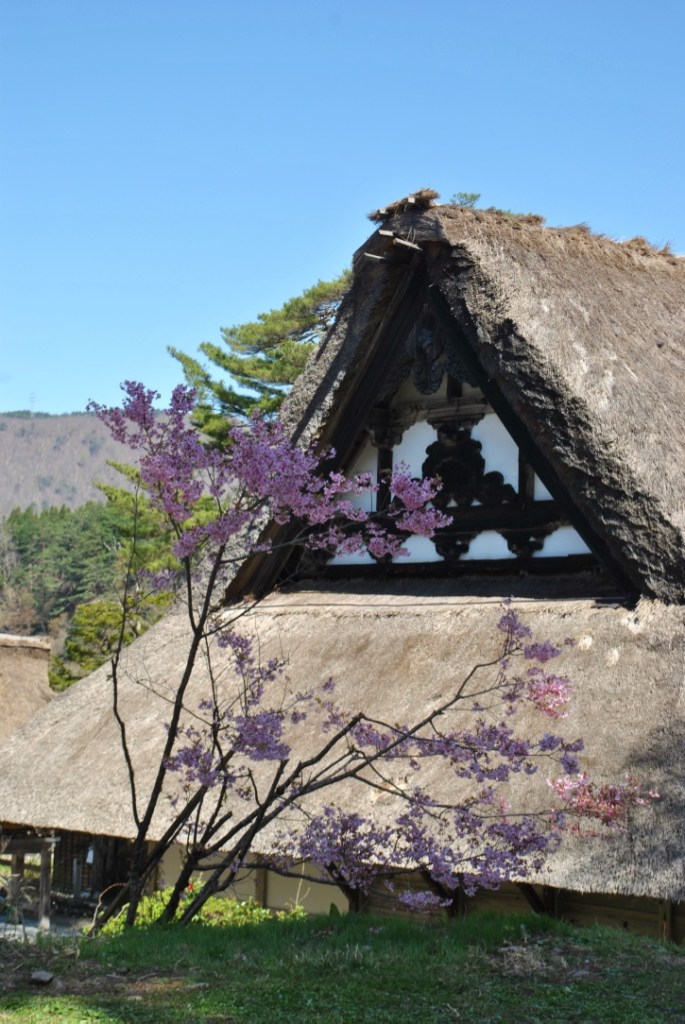 shirakawa village madame daniel honeymoon in Japan 