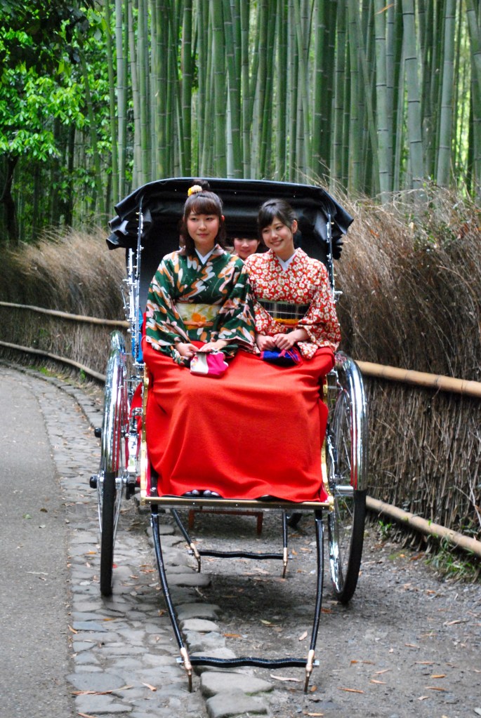 Bamboo forest Kyoto madamedaniel yukata kimono 