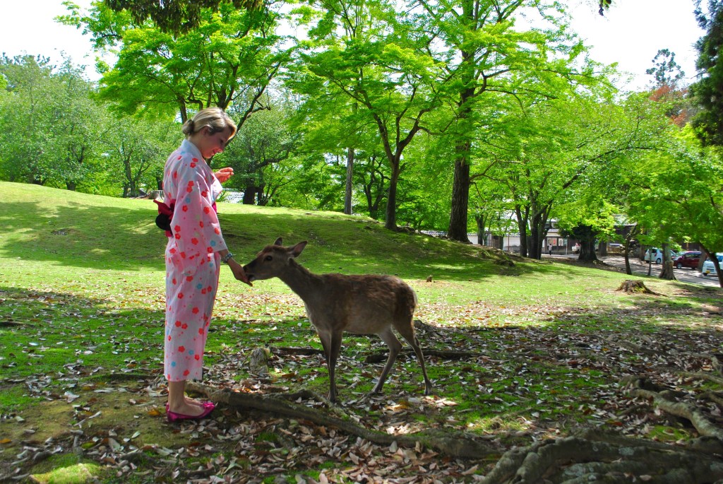 nara madamedaniel japon