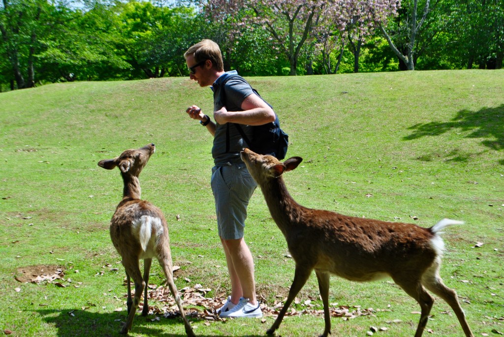 nara madamedaniel japon
