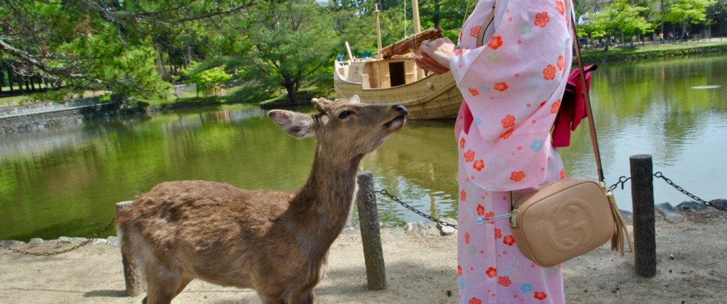 nara madamedaniel japon