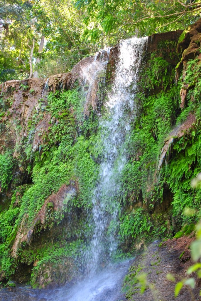 El Nicho madamedaniel zaful palm swimsuit palmer's cocoa butter avis blog voyage