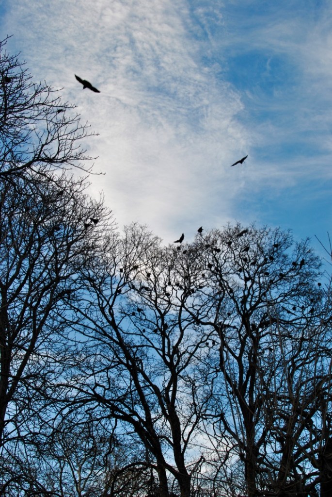 Vienna New year Eve madamedaniel avis voyage vienna 